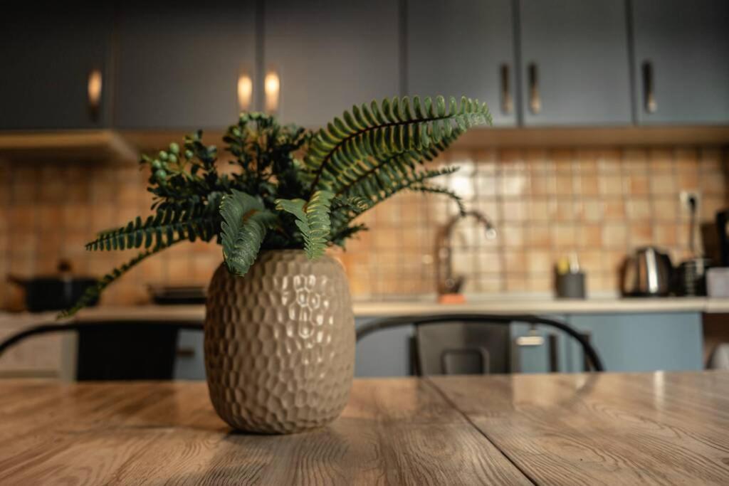 Aigli'S Urban Lodge Wolos Zewnętrze zdjęcie