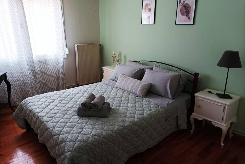 Aigli'S Urban Lodge Wolos Zewnętrze zdjęcie